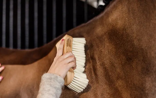 Kentucky Soft Middle Body Brush