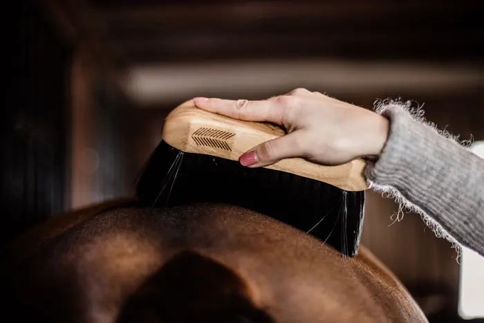 Kentucky Hard Middle Body Brush