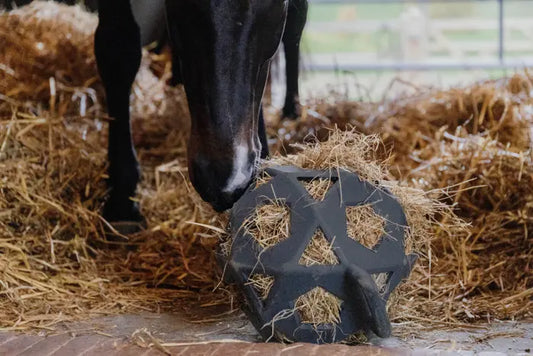 Kentucky Relax Horse Play & Hay Ball