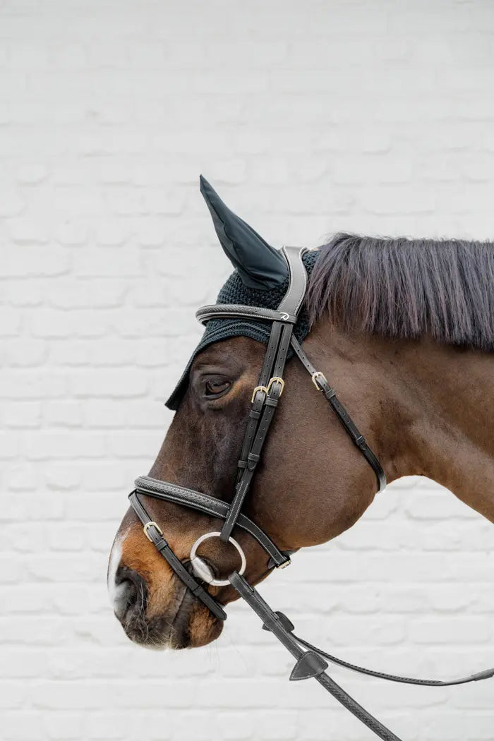 Dy'on Plaited Flash Noseband Bridle