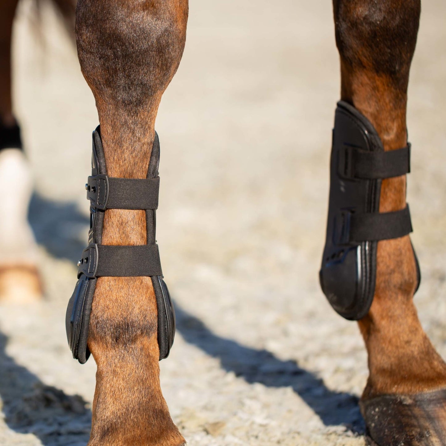 Equinavia Asgardian Open Front Boots