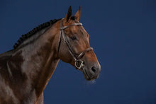 Load image into Gallery viewer, Dy&#39;on Cavesson Noseband Bridle