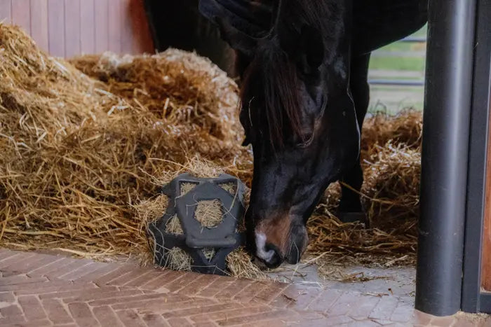 Kentucky Relax Horse Play & Hay Ball