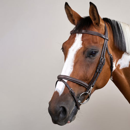Dy'On Flash Noseband Bridle with Snap Cheekpieces