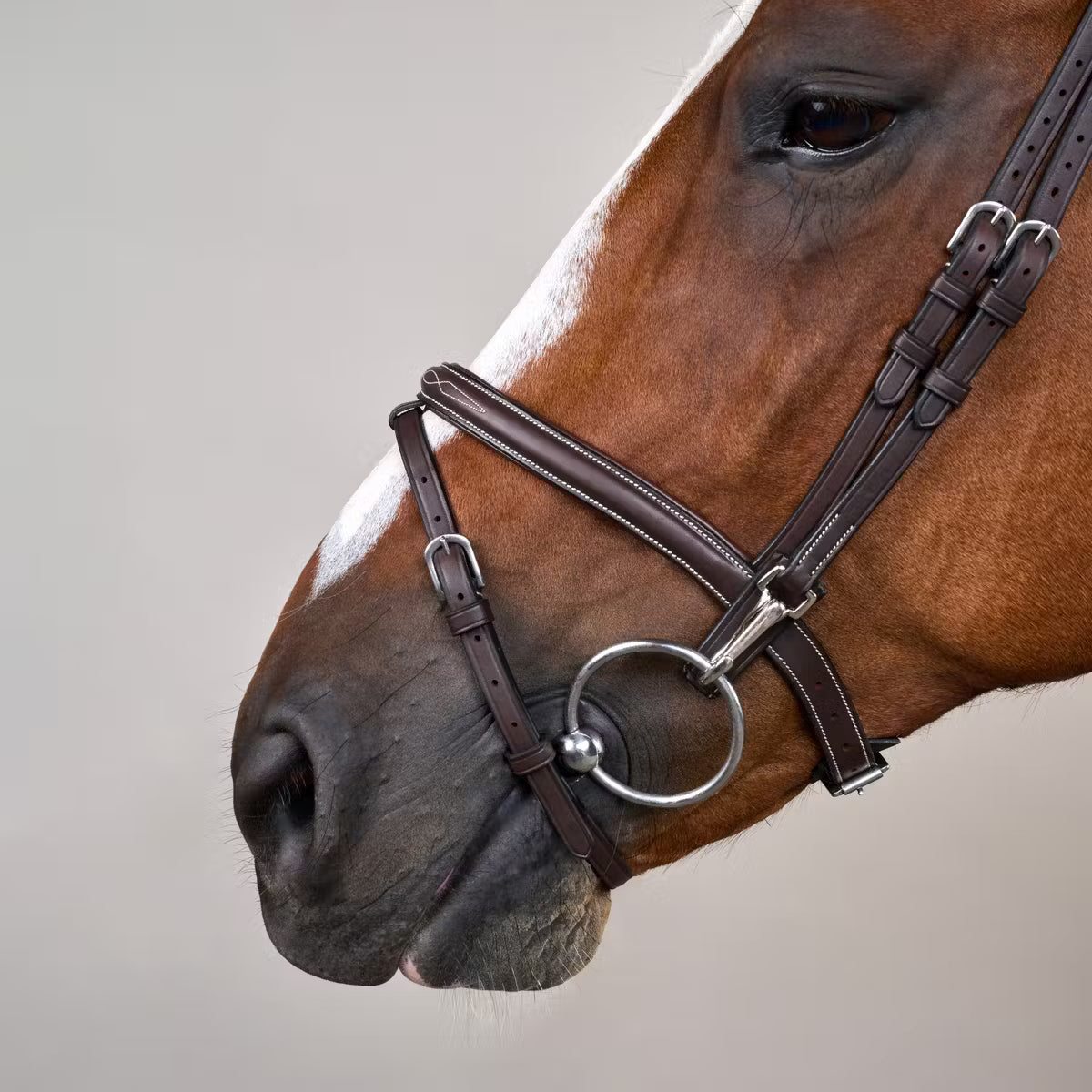 Dy'On Flash Noseband Bridle with Snap Cheekpieces