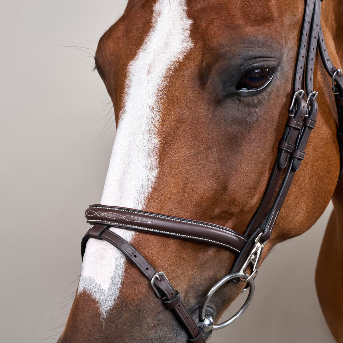 Dy'On Flash Noseband Bridle with Snap Cheekpieces