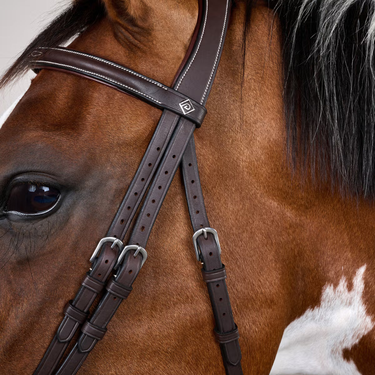 Dy'On Flash Noseband Bridle with Snap Cheekpieces