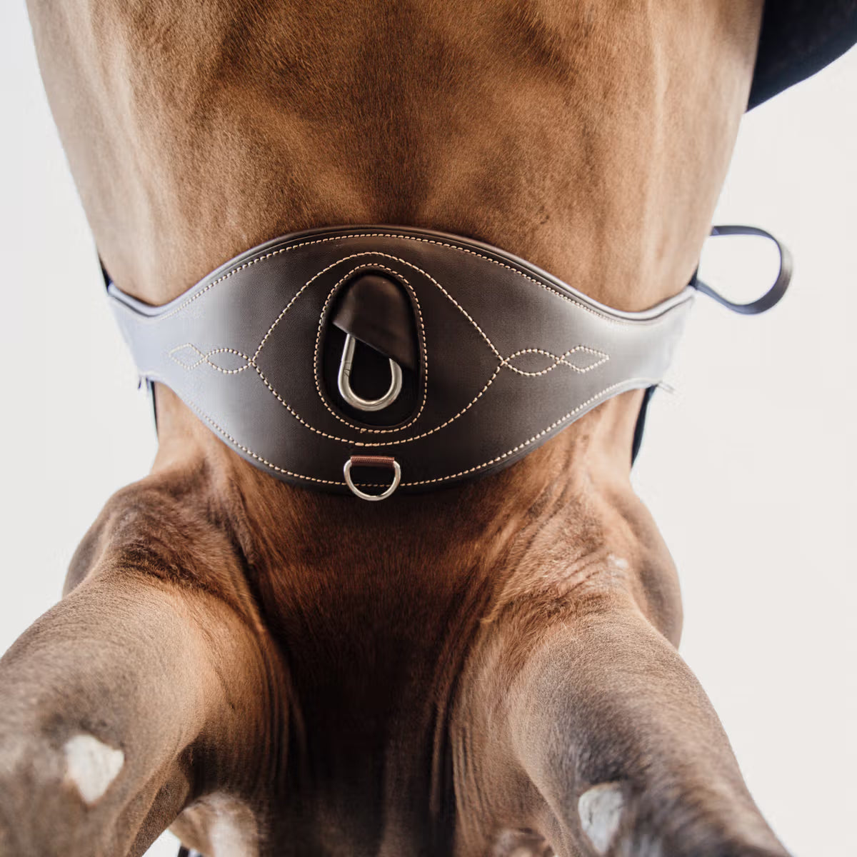 Kentucky Anatomic Jumping Girth