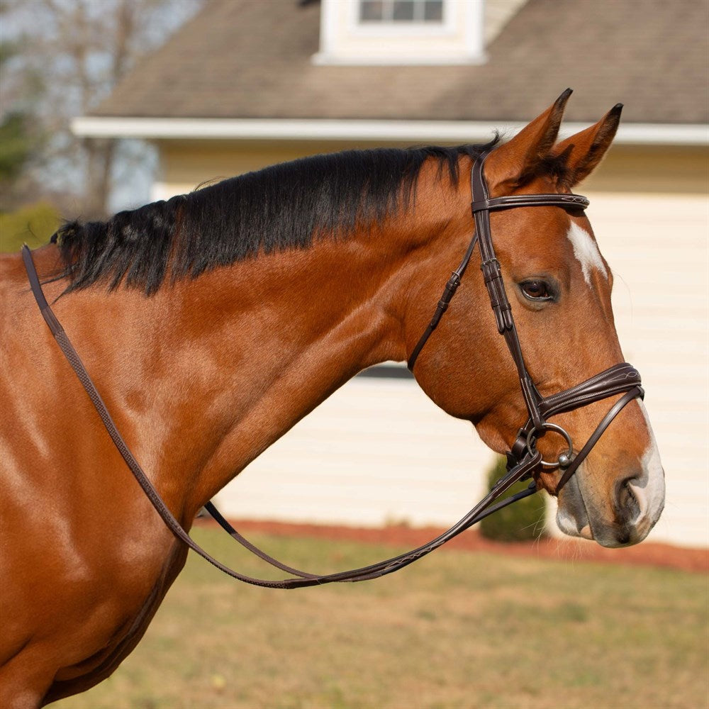 Equinavia Valkyrie Anatomic Jumper Bridle