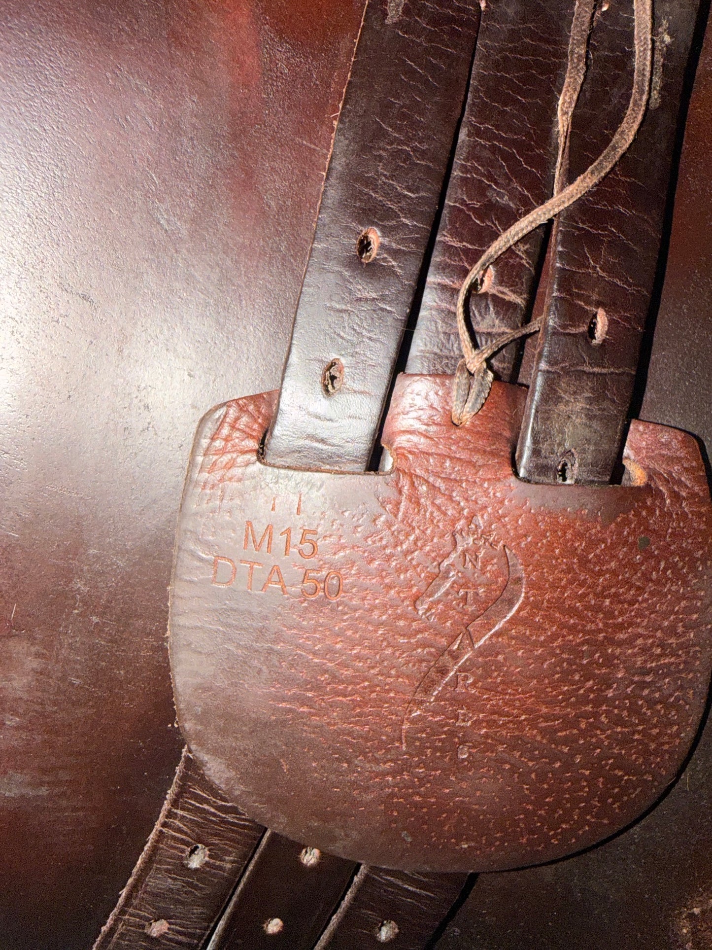 Used Antares Contact Jump Saddle