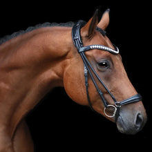 Load image into Gallery viewer, SD Designs Duke de Niro Rolled Dropnose Bridle