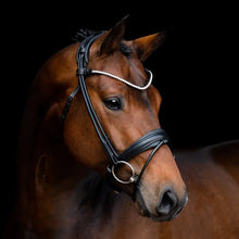 Load image into Gallery viewer, SD Designs Rapsody Rolled Bridle