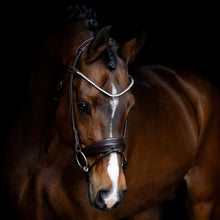 Load image into Gallery viewer, SD Designs Rapsody Rolled Bridle