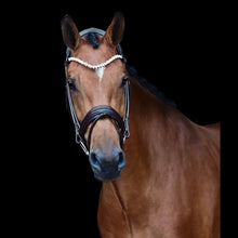 Load image into Gallery viewer, SD Designs Romanov Rolled Bridle