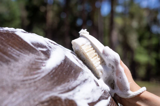 Hairy Pony Wash Bay Brush