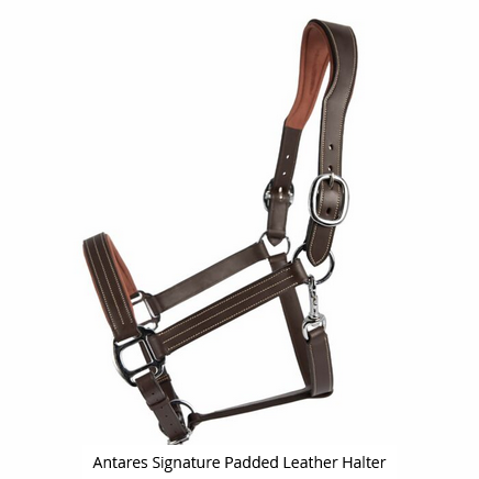 Antares Signature Leather Halter