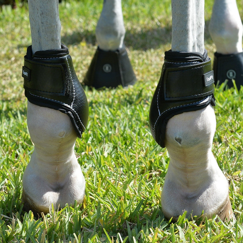 EquiFit Young Horse Hind Boot with Impacteq Liner