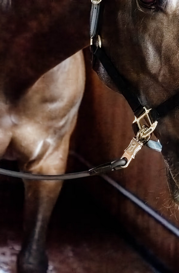 Kentucky Trailer & Cross Ties