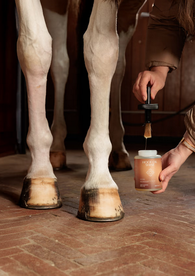 Kentucky GD Hoof Oil Shine