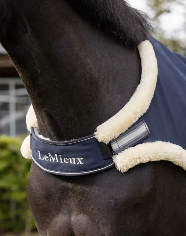 LeMieux Walker Rug