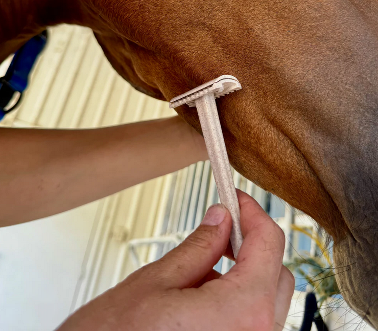 Hairy Pony Double Edge Safety Razors - 3 Pack