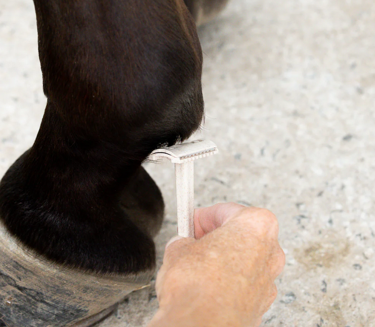 Hairy Pony Double Edge Safety Razors - 3 Pack