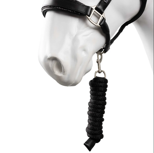 Horze Dynasty Crystal Leather Halter and Lead Set