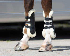 QHP Ontario Tendon Boots