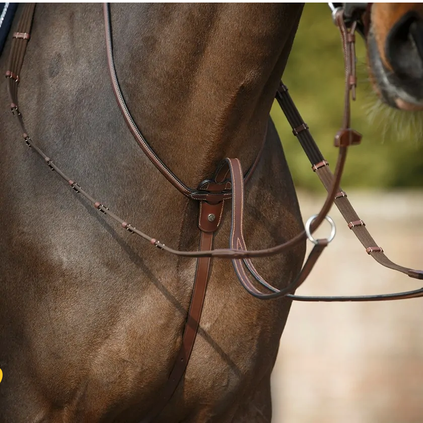 Antares Running Martingale