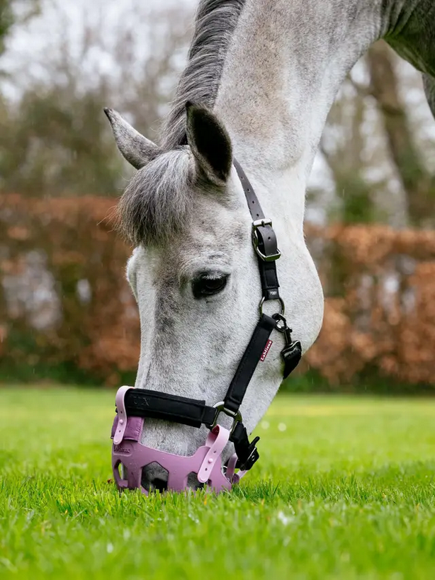LeMieux Noma Grazing Muzzle