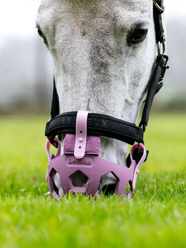 LeMieux Noma Grazing Muzzle