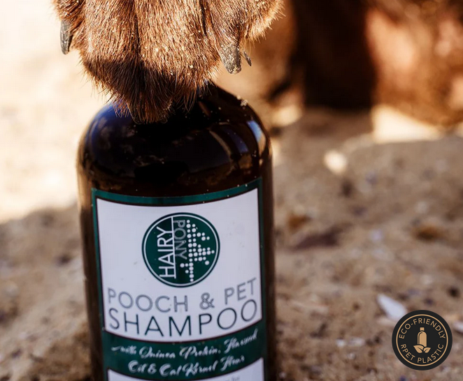 Pooch & Pet Dog Shampoo