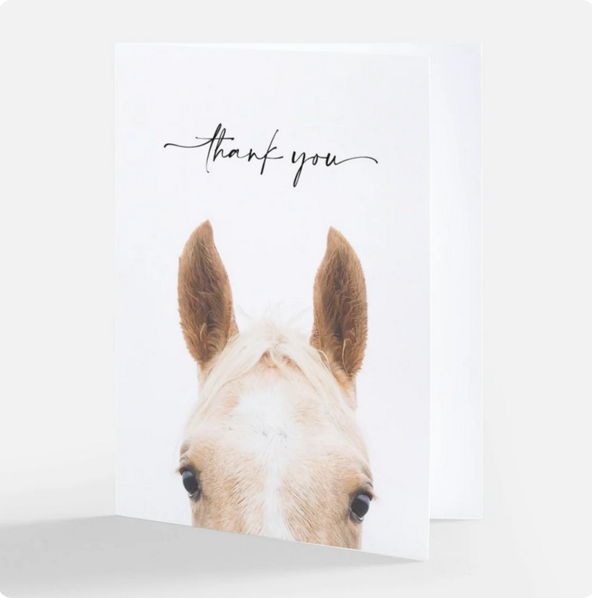 Blissful Equestrian Greeting Cards