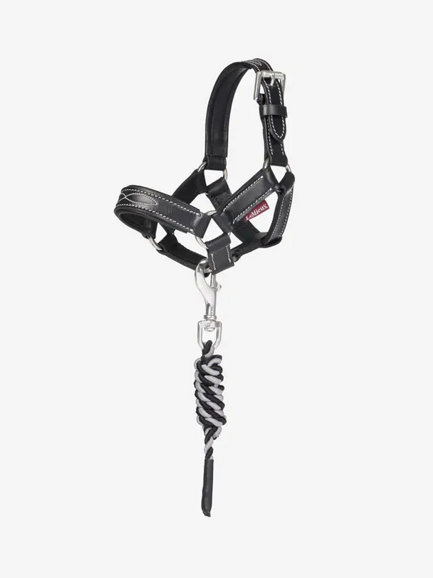LeMieux Toy Pony Leather Headcollar & Leadrope