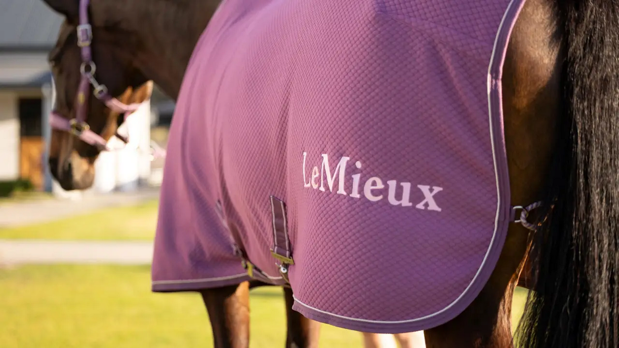 LeMieux Kudos Bamboo Cooler