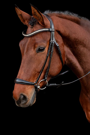 Schockemohle Pisa Drop Noseband Bridle
