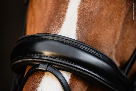 Schockemohle Valencia Noseband