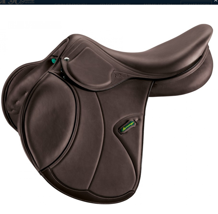 Amerigo CC Basso Jump Saddle