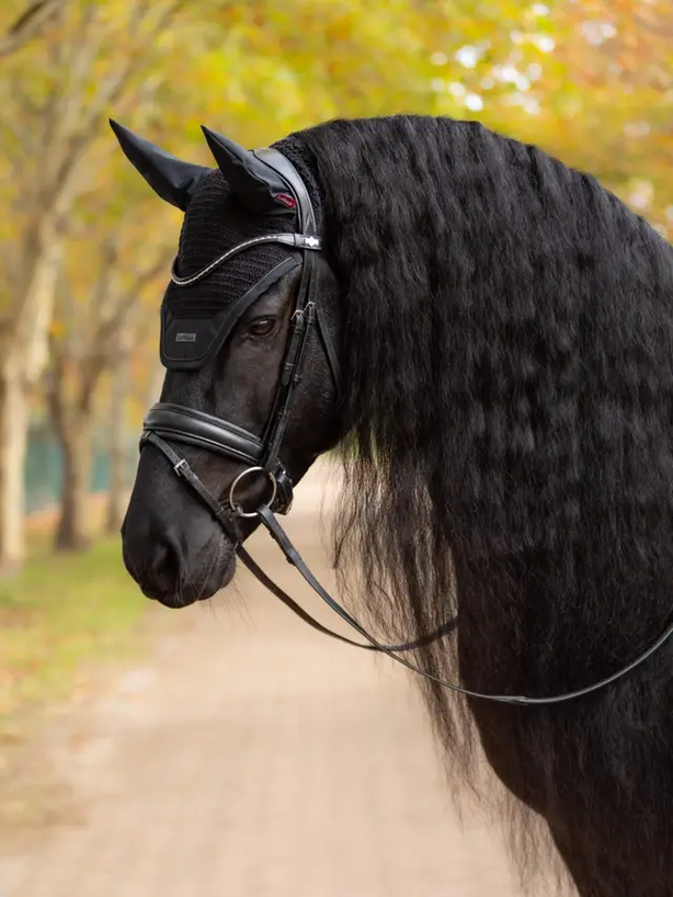 LeMieux Essence Fly Hood