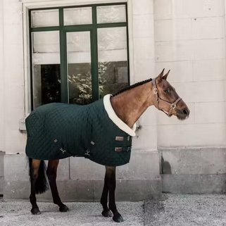 Kentucky Show Rug