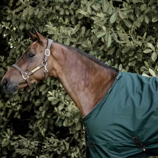 Kentucky Turnout All Weather Waterproof Pro Rug 160g