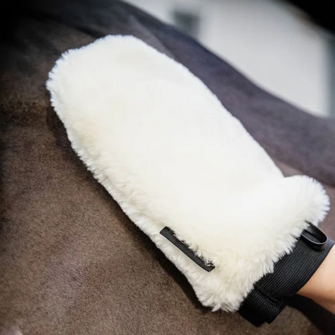 Kentucky Sheepskin Grooming Glove