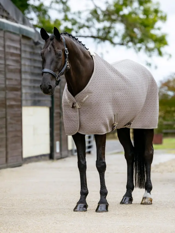 LeMieux Kudos 3D Mesh Travel Rug