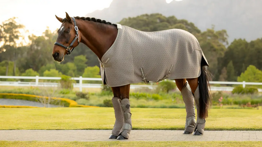 LeMieux Kudos 3D Mesh Travel Rug