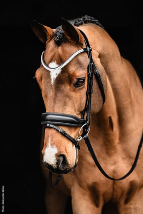 Schockemohle Valencia Dressage Bridle
