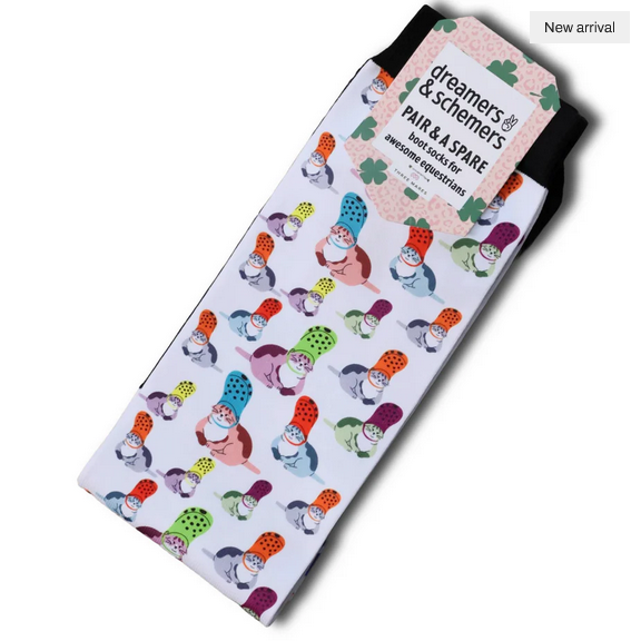 Dreamers & Schemers Socks