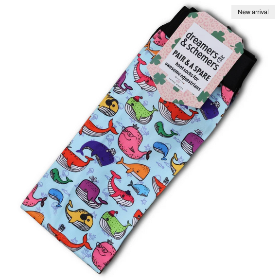 Dreamers & Schemers Socks