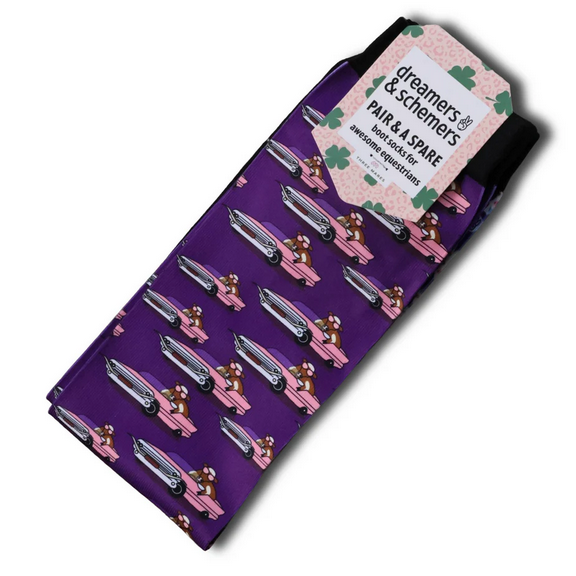Dreamers & Schemers Socks