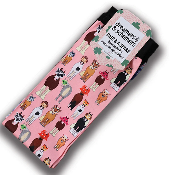 Dreamers & Schemers Socks