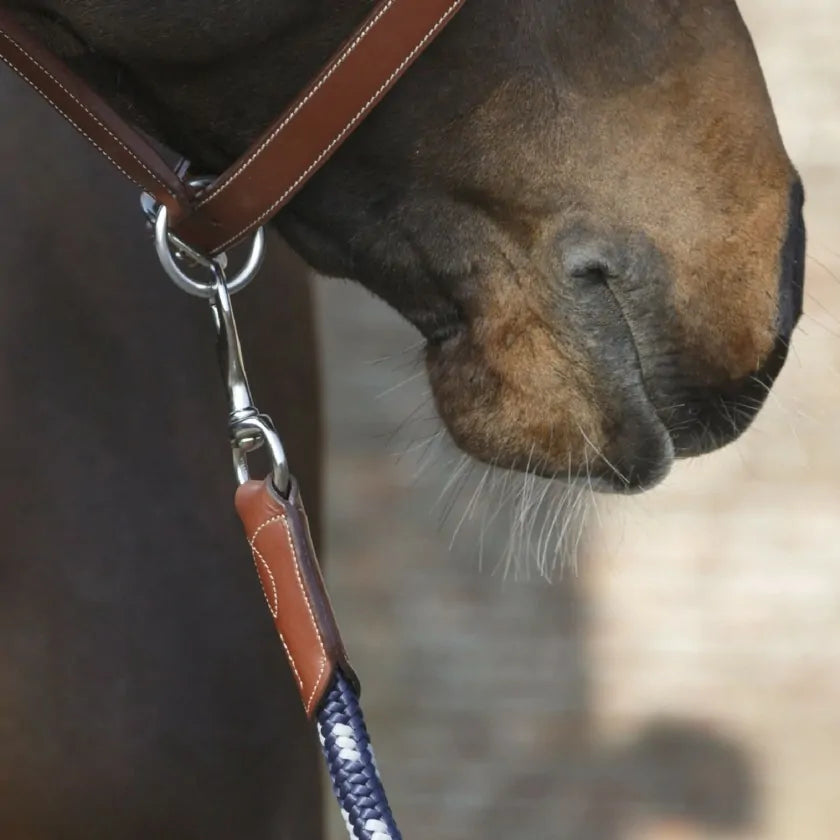 Sandlead Rope Antares Lead Rope – Victoria Saddlery